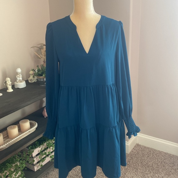NWT Evereve Dress (size small) - Picture 5 of 7